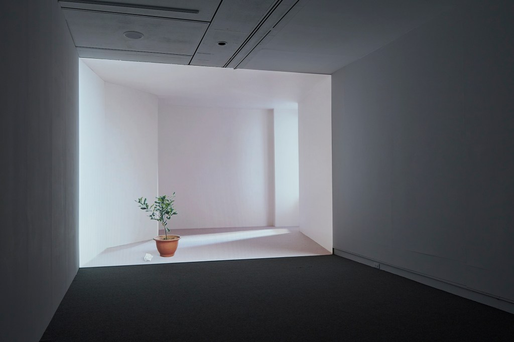 Muainn Select｜Our Most Anticipated 2026 Exhibitions in&nbsp;Taiwan